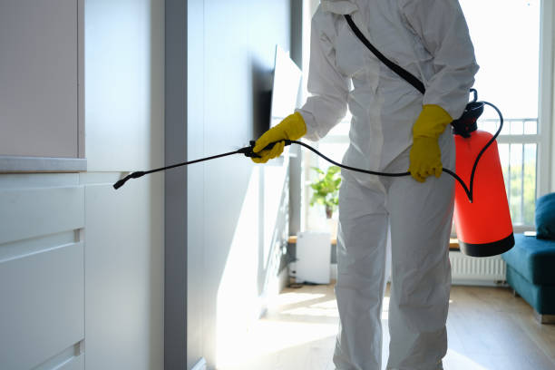 Best Home Mold Removal  in Hoquiam, WA