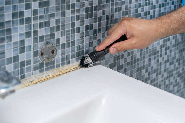 Best Residential Mold Removal  in Hoquiam, WA