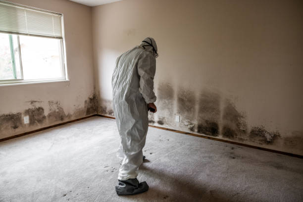 Water Damage Restoration in Hoquiam, WA